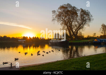 Rufford, Lancashire, Royaume-Uni. 6 octobre, 2017. Météo britannique. Ciel clair au début de la journée, avec des températures de nuit sur 5C, comme l'aube sur le Leeds Liverpool canal et un matin froid pour les résidents, qui ont choisi de vivre la vie à flot. St Mary's marina abrite de nombreux plaisanciers saisonniers et à long terme ainsi que des canards. Avec 100 mouillages pour bateaux jusqu'à 60 pieds de longueur, il peut accueillir à la fois étroite et large faisceau et canal bateaux de croisières. /AlamyLiveNews MediaWorldImages Crédit : Banque D'Images