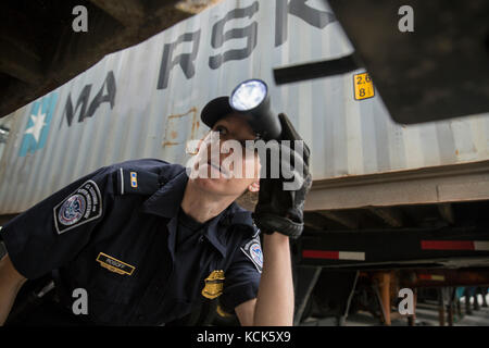 U.S. Customs and Border protection National Agriculture Cargo Targeting Unit les agents d'inspection des opérations sur le terrain inspectent les conteneurs de fret importés pour détecter les espèces envahissantes d'insectes et de plantes au port de Baltimore le 26 juillet 2017 à Baltimore, Maryland. (Photo de Glenn Fawcett via Planetpix) Banque D'Images