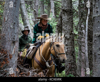 Le Canada, la Colombie-Britannique, Chilcotin, Chilcotin Arche, Tweedsmuir Park, arc-en-ciel Arc-en-ciel volcan, montagne, pourvoyeurs, Pack Déco Découverte, randonnée, chevaux, cowboy, cowgirl, Banque D'Images