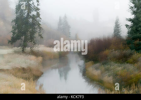 Le Canada, la Colombie-Britannique, le Centennial Park, 100 Mile House, Cariboo, Bridge Creek, abstrait, paysage, automne, couleurs de l'automne, l'art, l'art photographique, expressionniste, impressionniste, couleur, horizontal, Banque D'Images