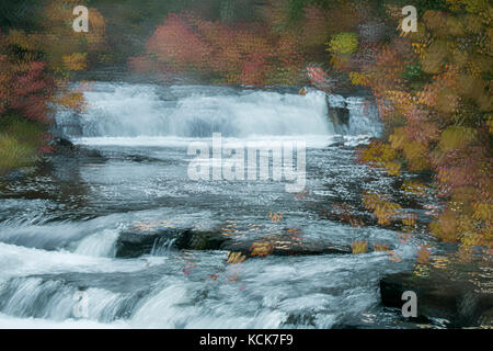 Le Canada, la Colombie-Britannique, le Centennial Park, 100 Mile House, Cariboo, Bridge Creek Falls, paysage abstrait, Automne, couleurs de l'automne, l'art, l'art photographique, expressionniste, impressionniste, couleur, horizontal, Banque D'Images