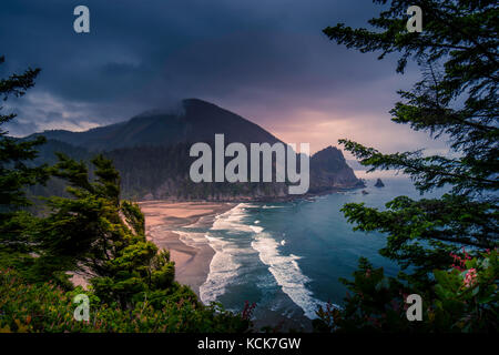 Voir d'Oswald plage, côte de l'oregon trail cap falcon oswald west state park Banque D'Images
