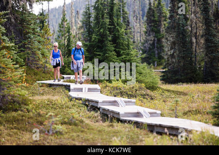 Un couple senior marche le long d'une série de promenades en bois, construites pour les randonneurs de jour explorant Paradise Meadows près de Mt. Washington. Paradise Meadows, Strathcona Park, île de Vancouver, Colombie-Britannique, Canada. Banque D'Images