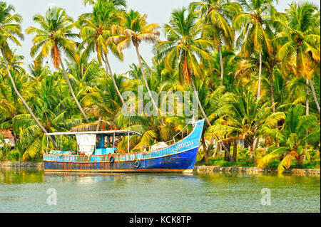 Bateau de pêche amarrés dans l'eau dormante entre kollam et Cochin, Kerala, Inde Banque D'Images