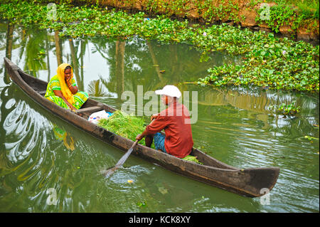 Canoë dans l'eau dormante entre Kollam et Cochin, Kerala, Inde Banque D'Images