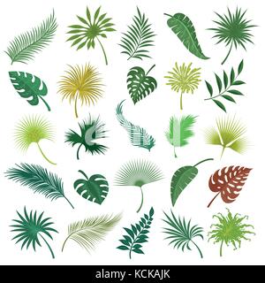 Jeu de feuilles exotiques palm Illustration de Vecteur