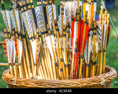 Navires de flèches pour un arc dans un panier tressé weasel, abstract shot Banque D'Images