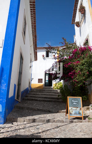 Rue de la ville médiévale d'Obidos, Portugal. rue pavée avec des étapes et un magnifique bougainvillier. tourné sur une journée ensoleillée en été. Banque D'Images