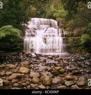 Liffey Falls, réserve d'État de Liffey Falls, Great Western tiers, Tasmanie, Australie Banque D'Images