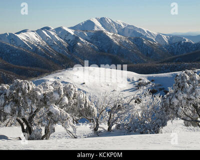 Mont Feathertop, 1922 m, deuxième plus haute montagne de l'État. Parc national alpin, Victoria, Australie Banque D'Images