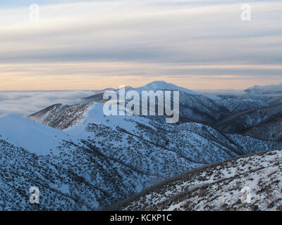 Mont Feathertop, 1922 m, deuxième plus haute montagne de l'État. Parc national alpin, Victoria, Australie Banque D'Images