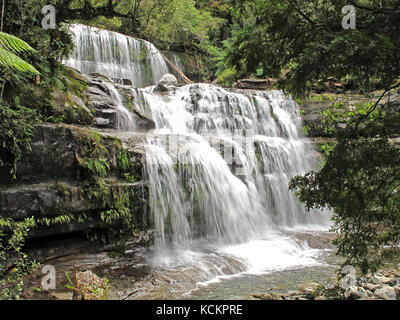 Liffey Falls, réserve d'État de Liffey Falls, Great Western tiers, Tasmanie, Australie Banque D'Images