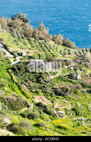 Terres agricoles en terrasses à l'Dingli Cliffs sur la côte sud de Malte Banque D'Images