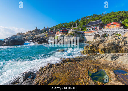 Haedong Yonggungsa Temple à Busan, Corée du Sud. Banque D'Images