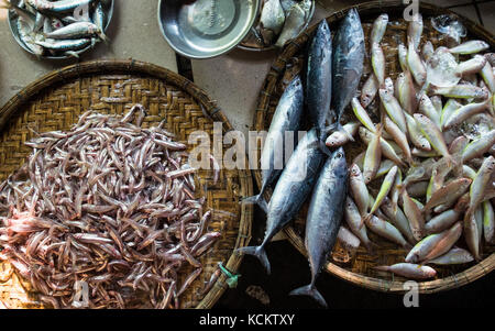 Poisson frais affichée sur les plaques de Bambou Bar, marché Dong dans Hue Banque D'Images