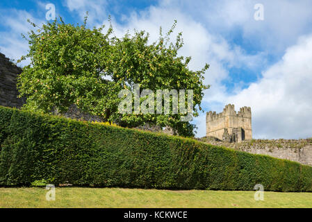 Le poste de pilotage jardin à Château de Richmond dans le North Yorkshire, en Angleterre. Banque D'Images