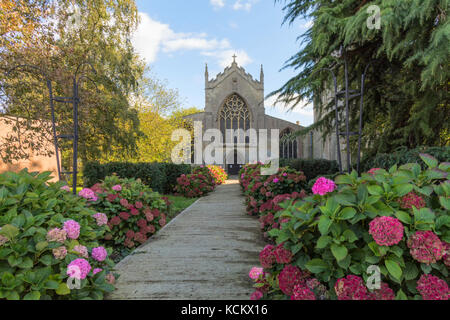 Eglise St Mary Long Sutton fleurs et vue en regardant la Banque D'Images