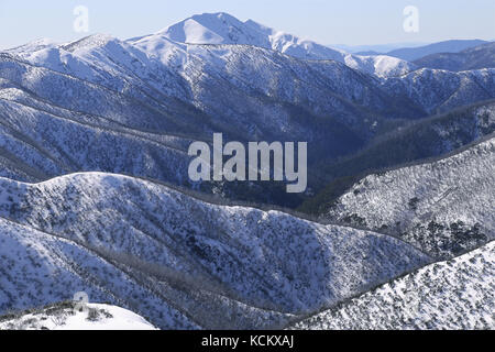 Mont Feathertop, 1922 m, la deuxième plus haute montagne de l'État. Les forêts de gommes à neige ont subi des dommages causés par les feux de brousse de la fin de l'été 2013. Na. Alpine Banque D'Images