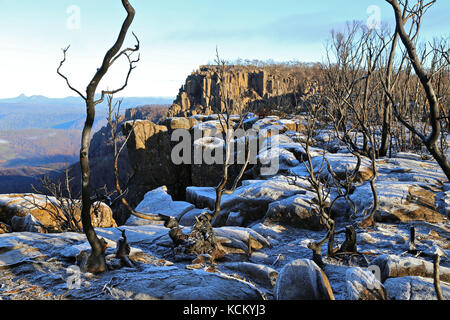 Forêt sur l'escarpement de Western Tiers endommagée par des feux de brousse catastrophiques. Devils Gullet, Western tiers, nord de la Tasmanie, Australie Banque D'Images