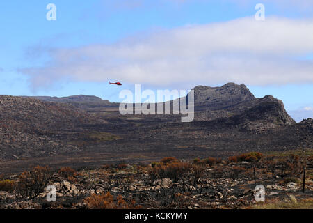 Hélicoptère de lutte contre les incendies survolant l'escarpement du nord des niveaux occidentaux brûlé par des incendies catastrophiques. Great Western tiers, Tasmanie du nord Banque D'Images