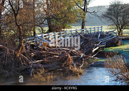 Pont en bois endommagé par une inondation importante. La section éloignée du pont a été transportée sur la rive de la rivière par des débris d'inondation. Au début de juin 2016, le nord de l'a Banque D'Images