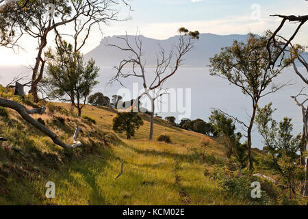 Vue sur l'île Maria à environ 10 km de l'autre côté du passage Mercury depuis la pointe nord de la baie d'Okehampton, près de Triabunna, côte est de la Tasmanie, Australie Banque D'Images