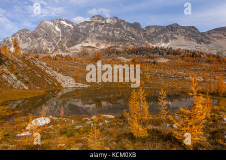 Mont Monica au-dessus d'un Tarn et de l'automne des mélèzes dans Monica Meadows, Purcell, British Columbia, Canada. Banque D'Images