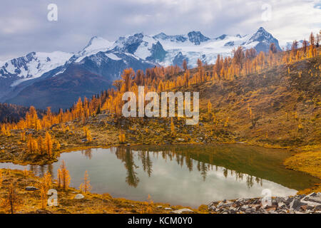 Monter Macbeth au-dessus d'un Tarn et de l'automne des mélèzes dans Monica Meadows, Purcell, British Columbia, Canada. Banque D'Images