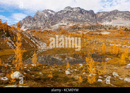 Mont Monica au-dessus d'un Tarn et de l'automne des mélèzes dans Monica Meadows, Purcell, British Columbia, Canada. Banque D'Images