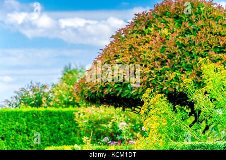 Musée des Impressionnismes jardin, dans la belle ville de Giverny, France Banque D'Images