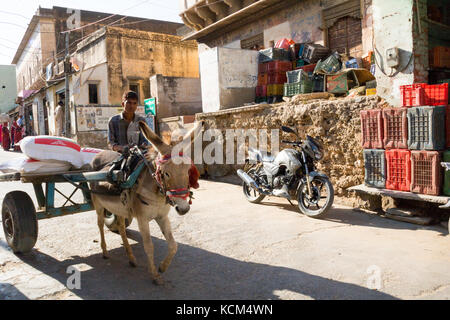 La vie quotidienne à mandawa, Inde - jeune homme sur chariot tiré par l'âne Banque D'Images