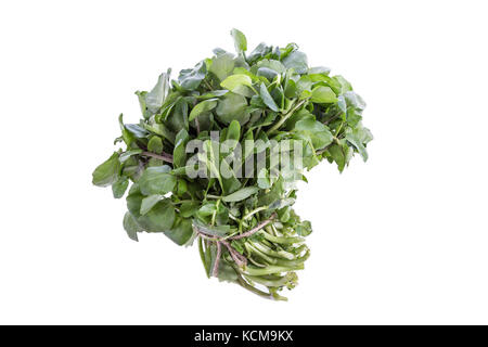 Botte de cresson frais sur fond blanc
