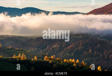 Un brouillard épais sur la colline en automne montagnes. superbe paysage nature au lever du soleil Banque D'Images