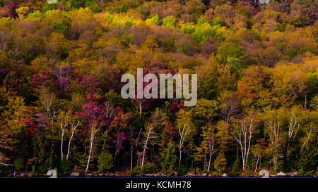 L'automne dans le parc national du mont Orford Québec Banque D'Images