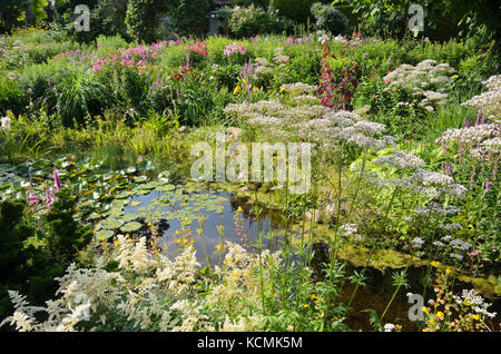 Astilbe astilbes (commune) et de valériane (Valeriana officinalis) dans un étang de jardin. design : Marianne et detlef lüdke Banque D'Images