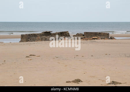 Plage de Titchwell, Norfolk, montrant la structure en décomposition et la mer Banque D'Images