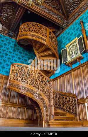 Un escalier taillé dans un un arbre à partir de y.1851, une bibliothèque au château de Lednice. Banque D'Images