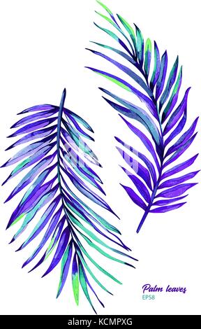 Ensemble de feuilles de palmier aquarelle peinte à la main. vector illustration botanique de Areca catechu, isolé sur fond blanc.éléments pour votre conception. Illustration de Vecteur