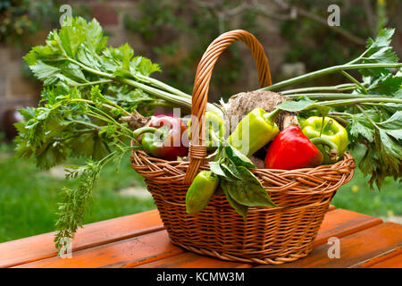 Le poivre avec les racines des légumes dans le panier en osier. Banque D'Images