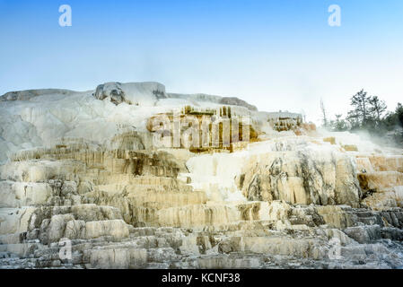 Cuisson à la fonction iconique géothermique au Mammoth Hot Springs sur le parc national de Yellowstone Banque D'Images