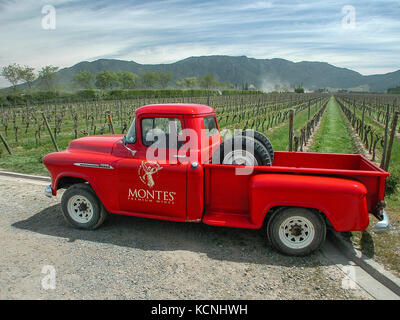 Vignobles de Vina Montes, Santa Cruz, Chili, Colchagua Banque D'Images