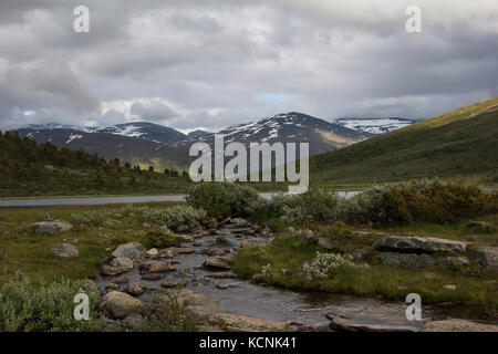 Vue sur le parc national de Jotunheimen, en Norvège, le printemps Banque D'Images