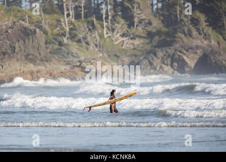 Un surfeur femelle patauge dans le surf entrant dans les eaux du Pacifique au large de chesterman beach, Tofino, Vancouver Island, British Columbia, canada Banque D'Images