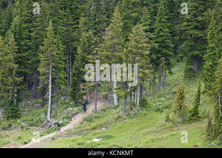 Les motards de montagne descendent et sortent d'une partie à pied du sentier Green Mile à Mt. Washington, la vallée de Comox, île de Vancouver, Colombie-Britannique, Canada Banque D'Images