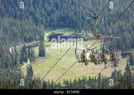 Balade vtt le télésiège Hawk avec Paradise Meadows dans l'arrière-plan. Mt. Washington, la vallée de Comox, Vancouver Island, British Columbia, Canada Banque D'Images