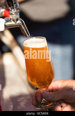 Une pinte de bière montre de son riche liquide ambré à l'assemblée annuelle des fruits de mer festival tenu à courtenay Banque D'Images