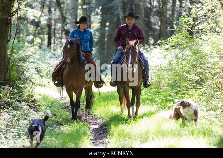 Un couple sur l'exercice de leurs chevaux et de leurs chiens sur un réseau de sentiers dans la région de Black Creek. La vallée de Comox. Banque D'Images