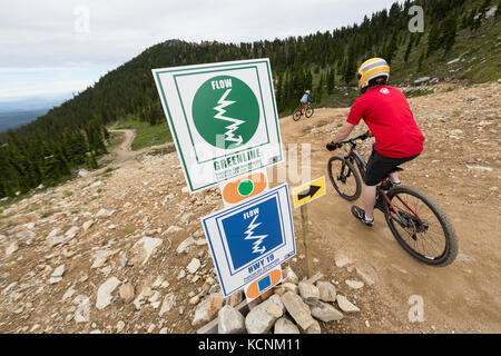 Les motards de montagne descendent le long du Green Mile au sommet du télésiège Hawk à Mt. Washington, la vallée de Comox, île de Vancouver, Colombie-Britannique, Canada Banque D'Images