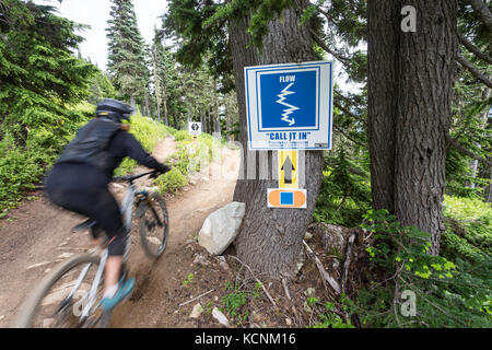 Les motards qui descendent « Call IT In » traversent une intersection menant au « Monster Mile », près du télésiège Hawk à Mt. Washington, la vallée de Comox, île de Vancouver, Colombie-Britannique, Canada. Banque D'Images