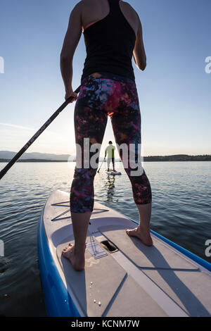 Stand Up Paddle paddleboarders dans la soirée sur les eaux de la baie de Comox, la vallée de Comox Banque D'Images